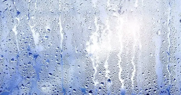 5 mẹo dân gian đơn giản nhưng cực kỳ lợi hại giúp "Đánh bay nồm ẩm miền Bắc"